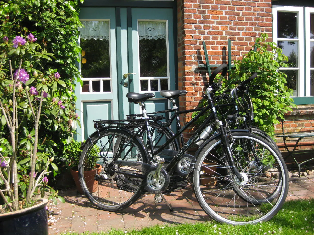 Holiday apartment Plöhn - Outdoor photo 4