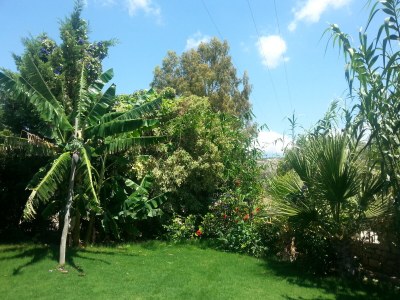 Villa Kokkino Kufitza - Outdoor photo 9