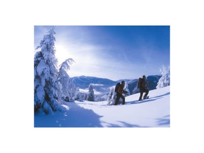 Holiday apartment Wegscheiderhof Feldthurns - Features photo 12