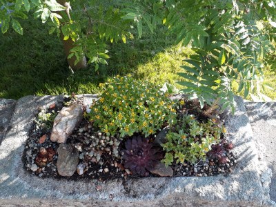 Holiday house at Holiday farm Zollfrank - Outdoor photo 9