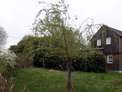 Holiday house at Holiday farm Zollfrank - Outdoor photo 10