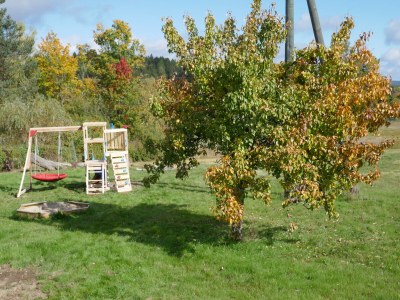 Holiday house at Holiday farm Zollfrank - Outdoor photo 11
