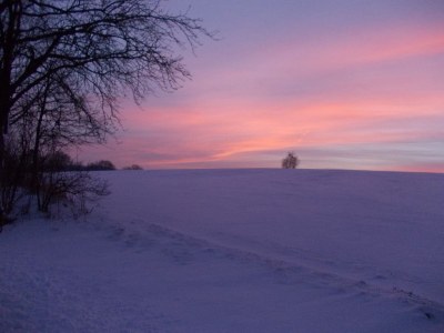 Holiday house at Holiday farm Zollfrank - Environment photo 30