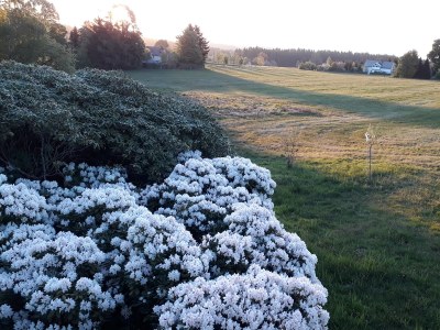 Holiday house at Holiday farm Zollfrank - Environment photo 32