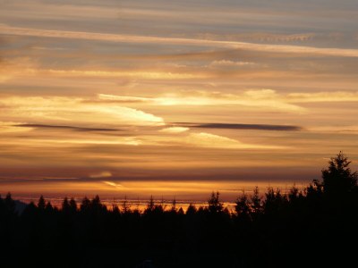 Holiday house at Holiday farm Zollfrank - Environment photo 33