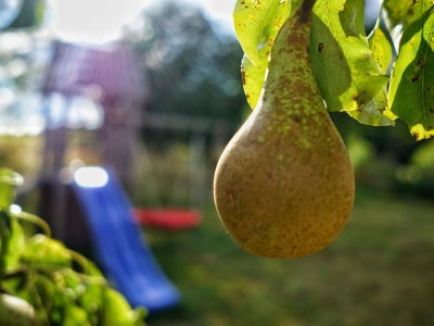 Holiday house at Holiday farm Zollfrank - Environment photo 35