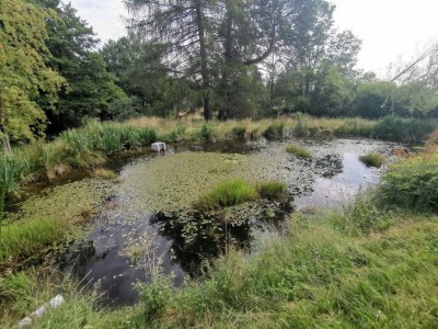 Holiday house at Holiday farm Zollfrank - Environment photo 36