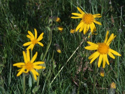 Holiday house at Holiday farm Zollfrank - Environment photo 39