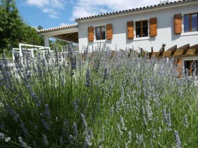 Villa Villa Isabel and Imo - Outdoor photo 15