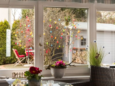 Holiday apartment Ferienwohnung 1 - Features photo 19