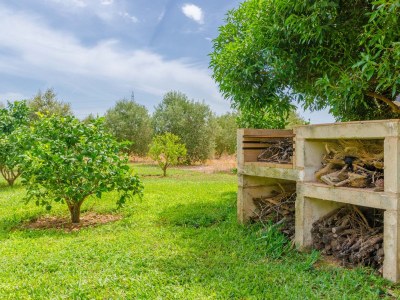 Villa Son Sabater (Es Moli Nou) - Outdoor photo 19