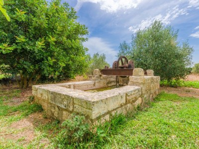 Villa Son Sabater (Es Moli Nou) - Outdoor photo 22