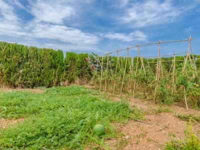 Villa Son Sabater (Es Moli Nou) - Outdoor photo 23