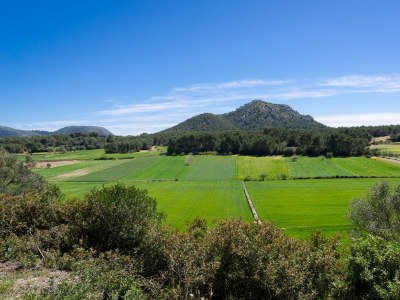 Villa Can Pistola - Environment photo 26