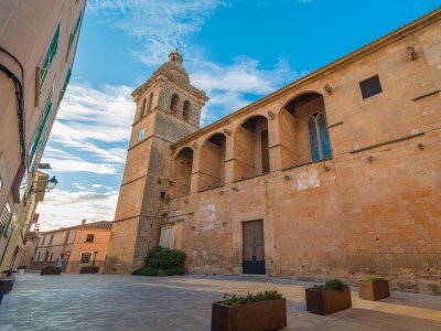 Villa Can Pistola - Environment photo 30