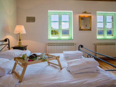 Villa Tribalj - Features photo 20