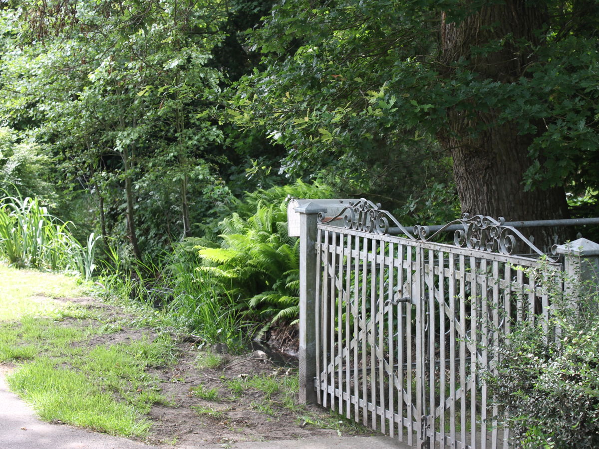 Holiday apartment Gulfhof de Riese- Hofmann OG - Outdoor photo 4