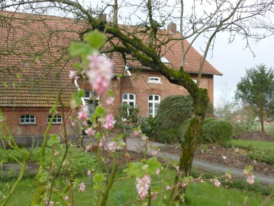 Holiday apartment Gulfhof de Riese- Hofmann OG - Outdoor photo 10