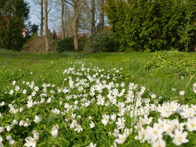 Holiday apartment Gulfhof de Riese- Hofmann OG - Outdoor photo 12