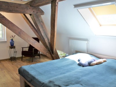 Holiday apartment Gulfhof de Riese- Hofmann OG - Features photo 25