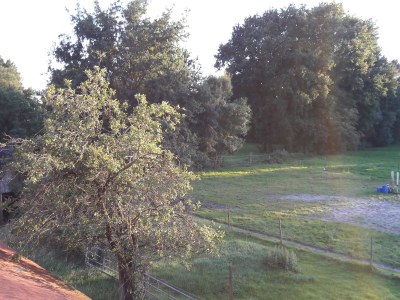 Holiday apartment Gulfhof de Riese- Hofmann OG - Environment photo 34