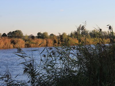 Holiday apartment Gulfhof de Riese- Hofmann OG - Environment photo 35