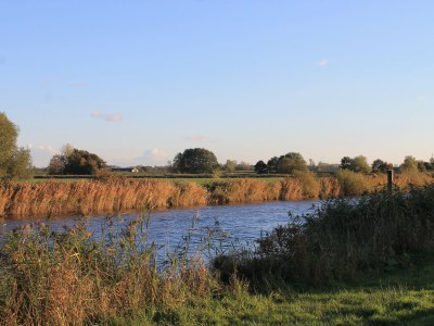 Holiday apartment Gulfhof de Riese- Hofmann OG - Environment photo 38