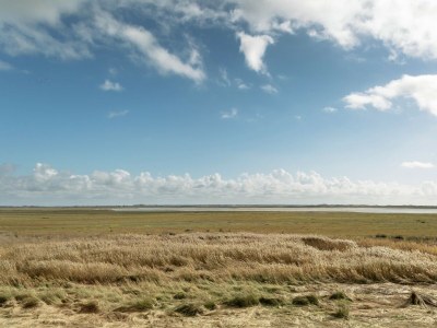 Holiday house Saint-Germain Beach Bliss - Environment photo 31