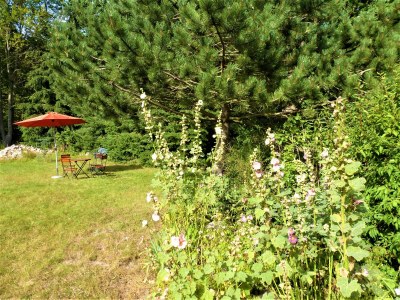 Holiday apartment By Lake Lüttensee - Outdoor photo 11