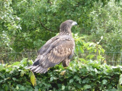 Holiday apartment By Lake Lüttensee - Outdoor photo 14