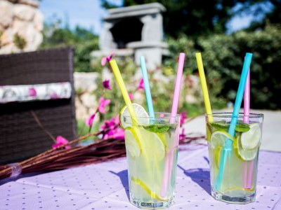 Villa West Wing with beautiful heated pool - Outdoor photo 7