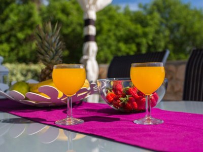 Villa West Wing with beautiful heated pool - Outdoor photo 14