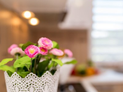 Villa West Wing with beautiful heated pool - Features photo 32