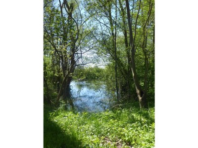 Holiday house Carlotta - Environment photo 19