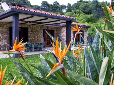 Holiday house Villa La Gaia - Outdoor photo 4