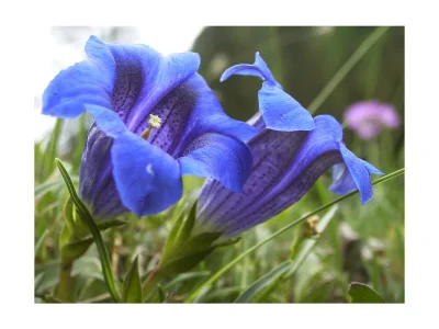 Holiday apartment House Hochmoor - Environment photo 11