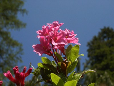 Holiday apartment House Hochmoor - Environment photo 14