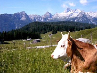 Holiday apartment House Hochmoor - Environment photo 16