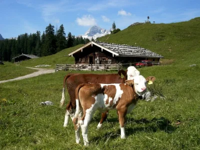 Holiday apartment House Hochmoor - Environment photo 19