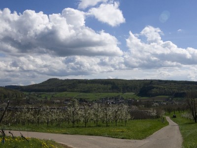 Holiday house Südbaden - Environment photo 21