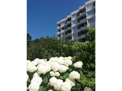 Holiday apartment Carpe Diem - Outdoor photo 13