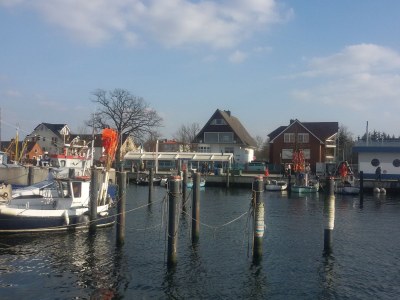 Holiday apartment Carpe Diem - Environment photo 15