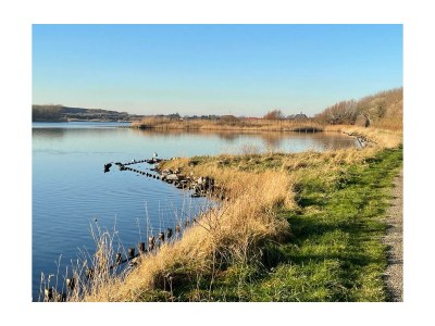 Holiday apartment Jacob Brasserstraat 21 - Environment photo 19