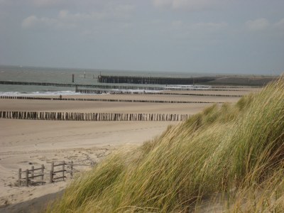 Holiday apartment Jacob Brasserstraat 21 - Environment photo 23