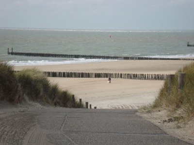 Holiday apartment Jacob Brasserstraat 21 - Environment photo 24