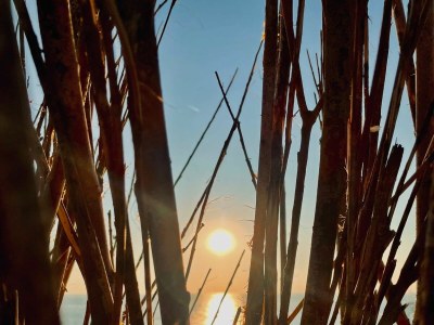 Holiday apartment Jacob Brasserstraat 21 - Environment photo 28