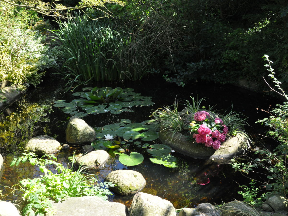 Holiday house Presens Paradies - Outdoor photo 4