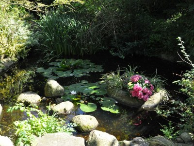 Holiday house Presens Paradies - Outdoor photo 4