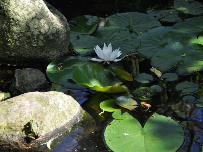 Holiday house Presens Paradies - Outdoor photo 5