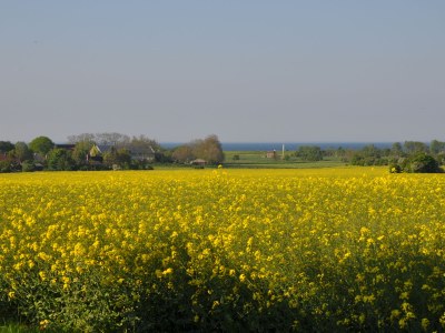 Holiday house Presens Paradies - Environment photo 19